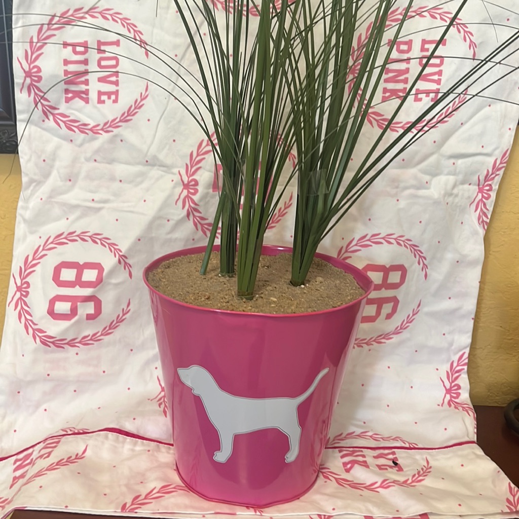 Vs Pink Vintage Rare Collectible Flowerpot